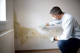 Forensic Mold Investigation in Tome, NM